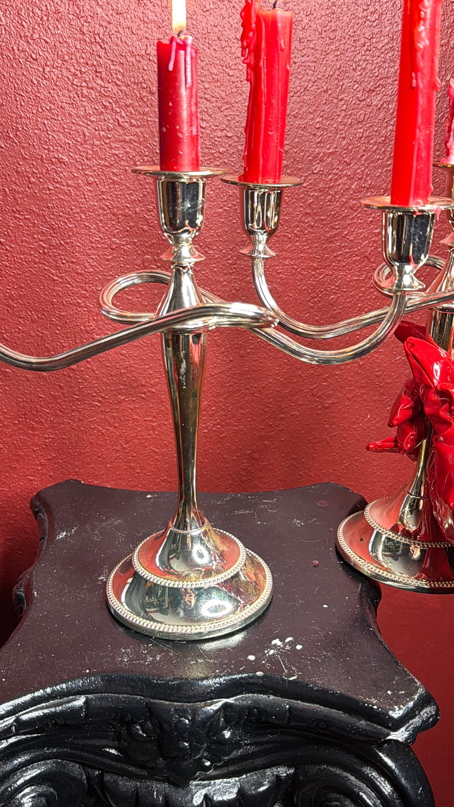 Pair of Twisted Candelabra’s