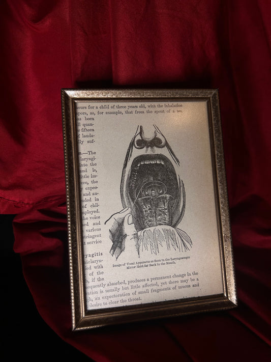 Framed Medical Illustration