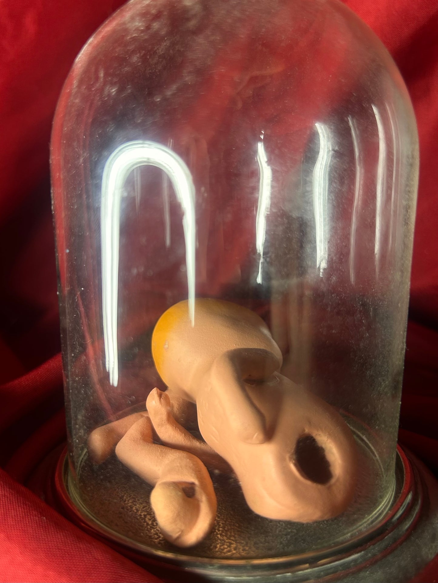 Doll in Dome