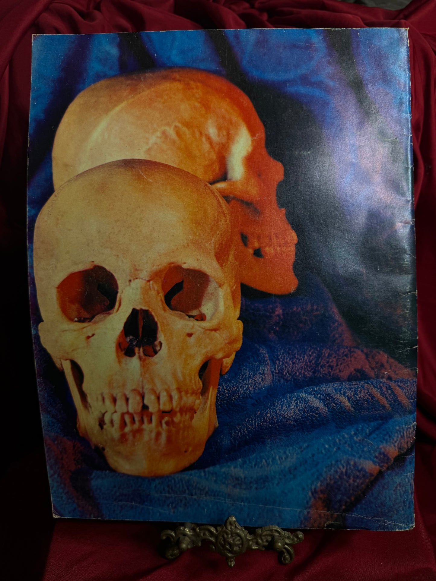 Anatomy by Walter T Foster Paperback Drawing Book Large Size