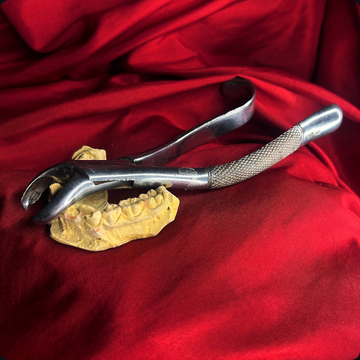 Made in Germany Tooth Extractor