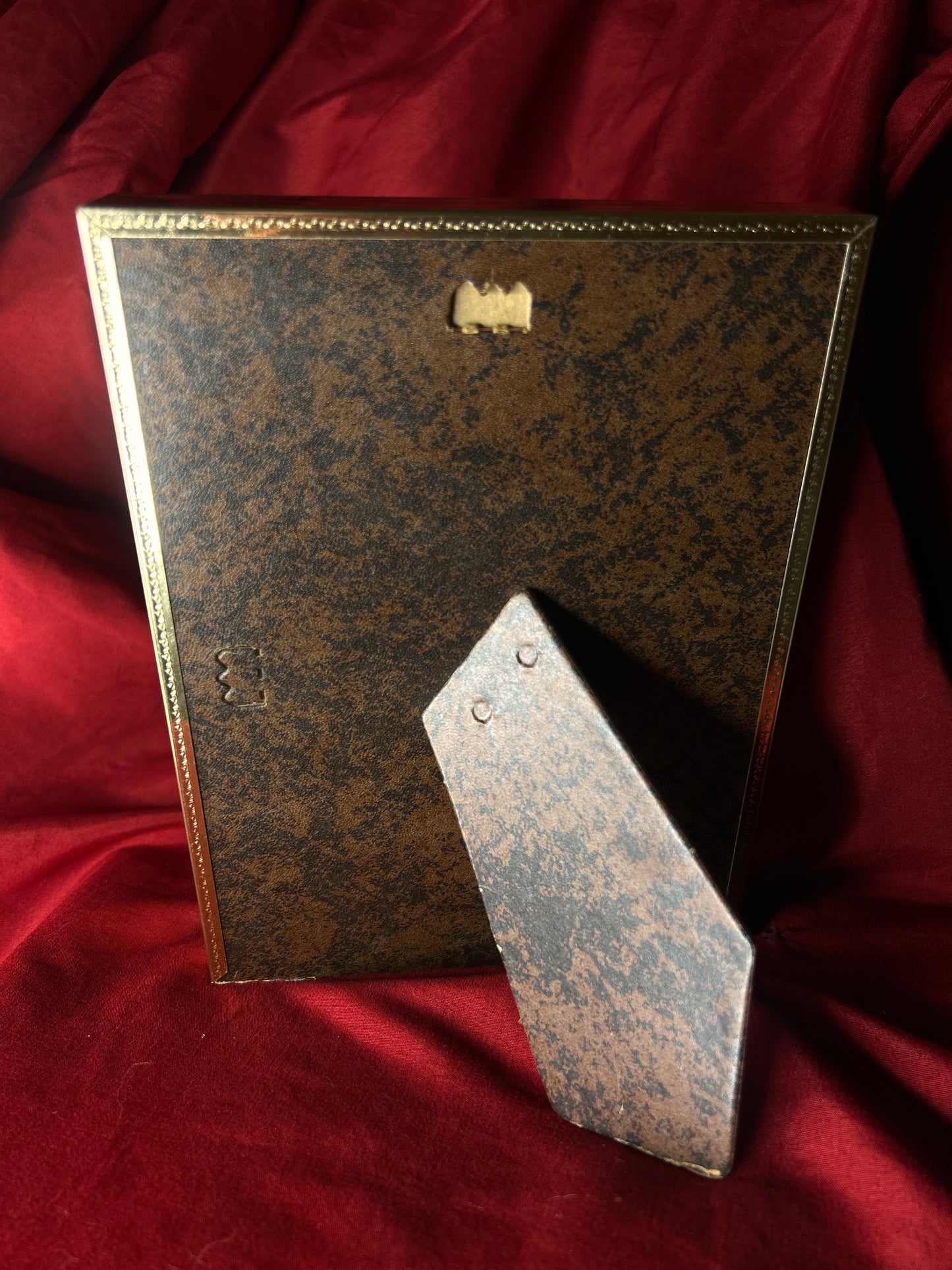 Framed Medical Antique Illustration