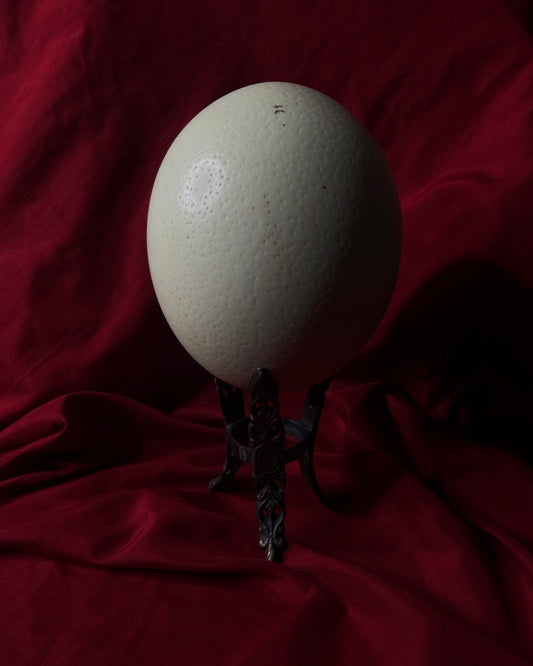 Ostrich Egg On Ornate Stand