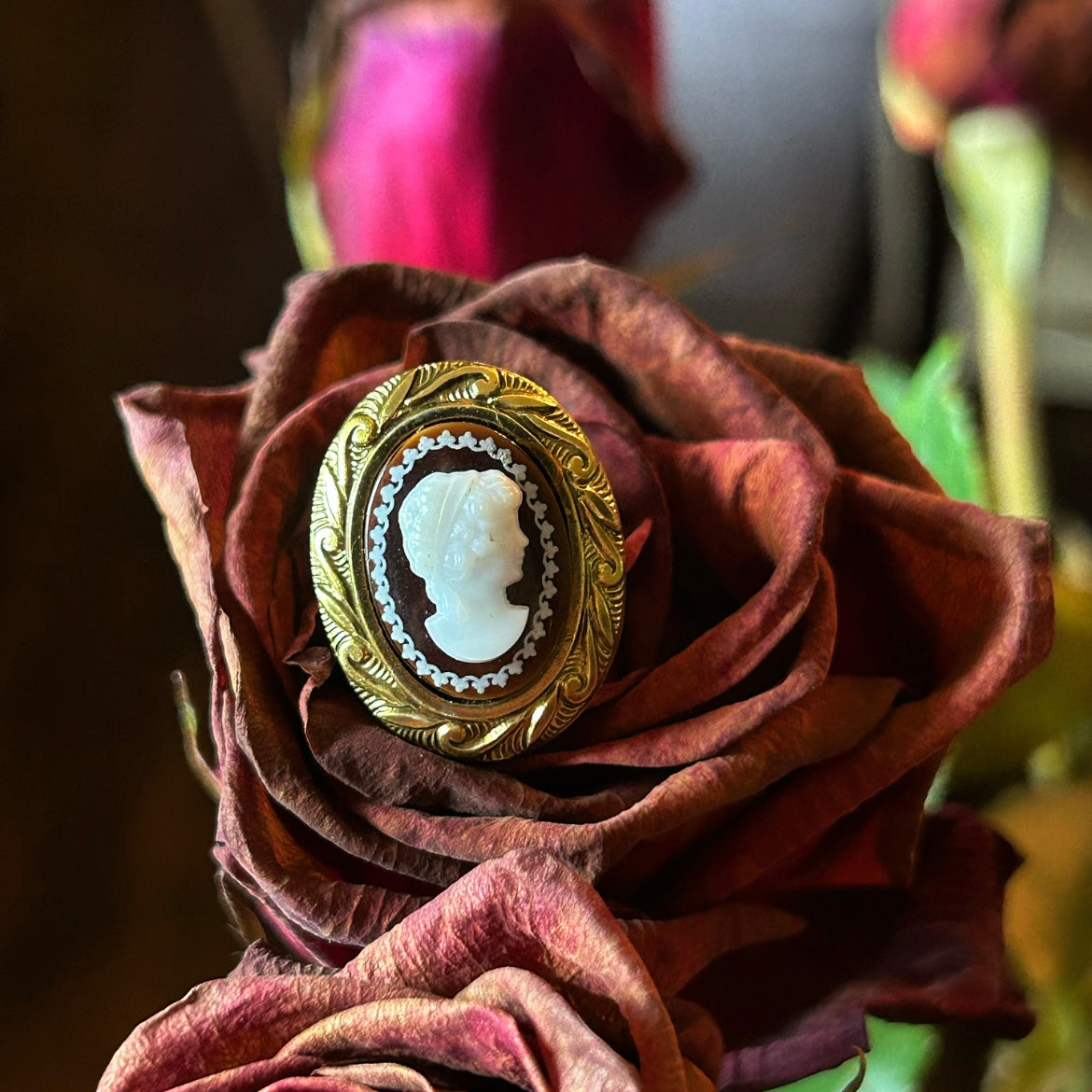 Cameo Brooch