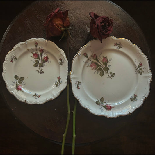 Ready to Hang Pair of Rosenthal "Moss Rose"