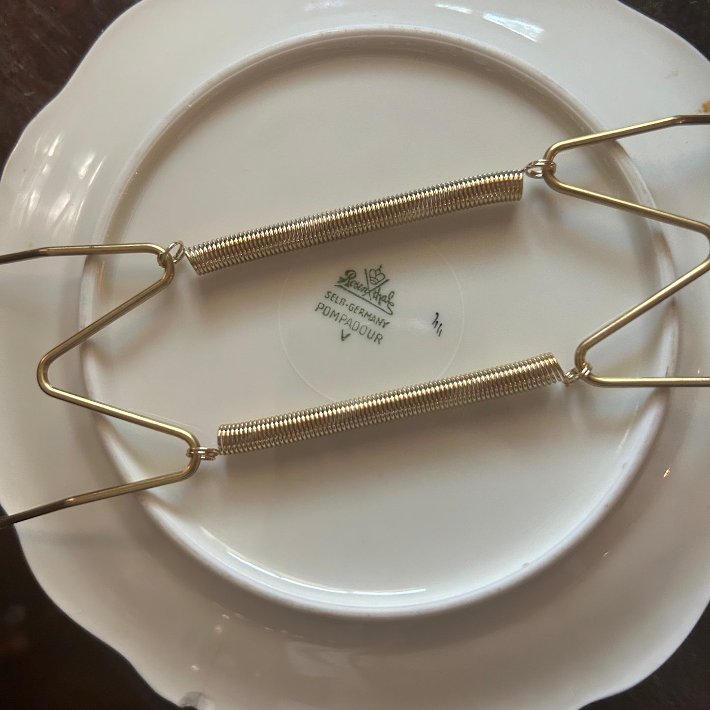 Ready to Hang Pair of Rosenthal "Moss Rose"