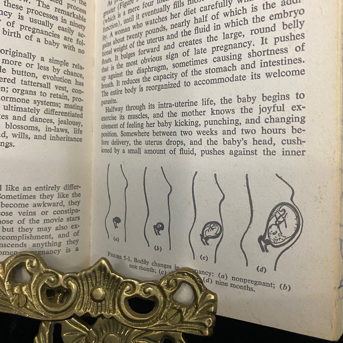 The Reproduction of Life