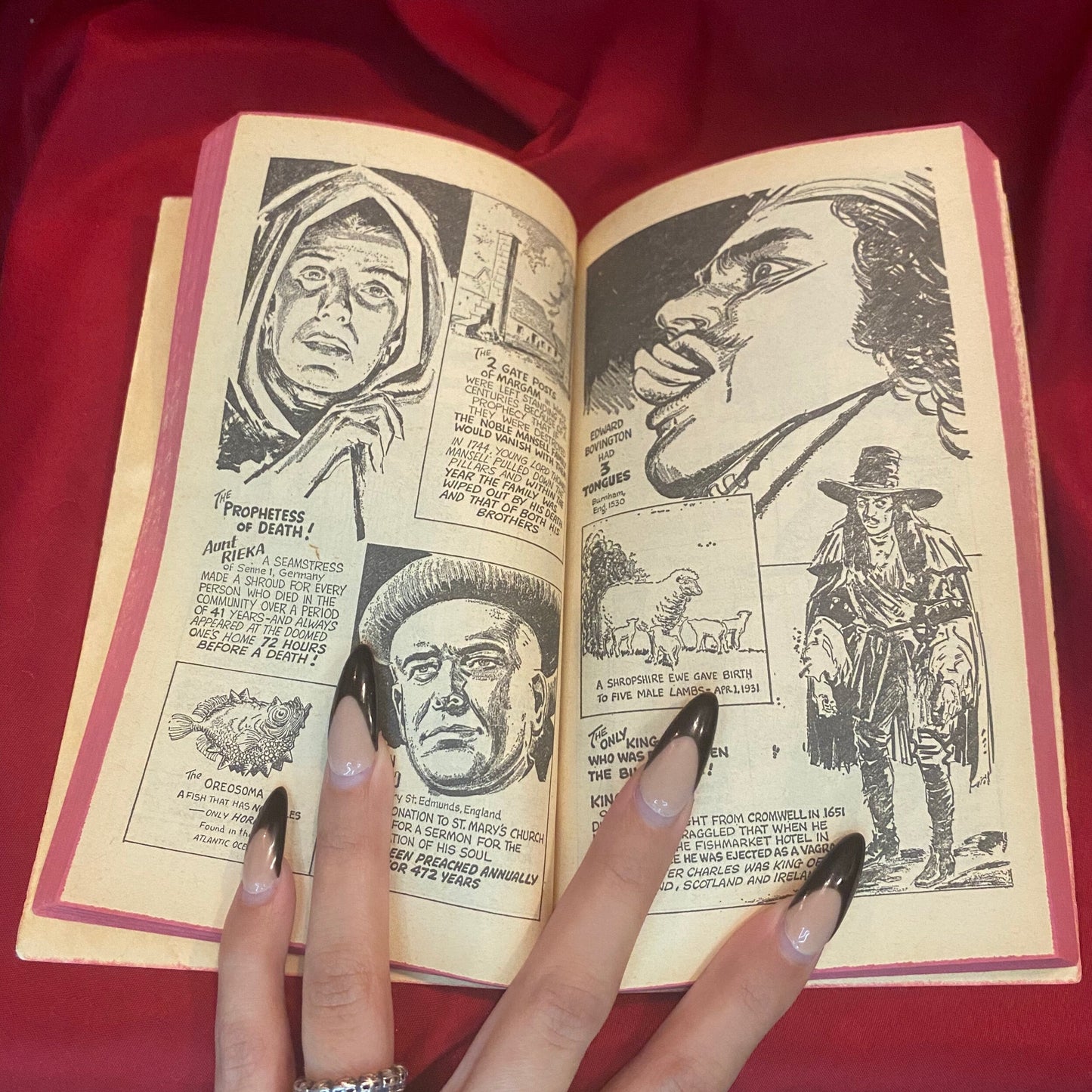Ripley’s Believe It or Not! 50th Anniversary Edition