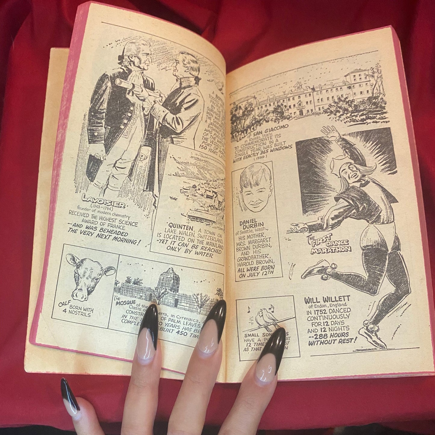 Ripley’s Believe It or Not! 50th Anniversary Edition