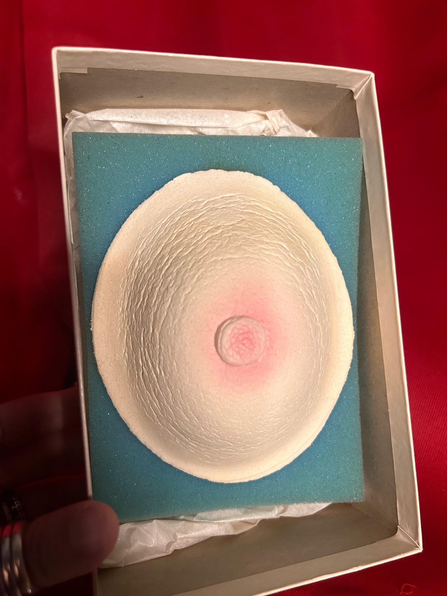 Bachelor Bar Sponge