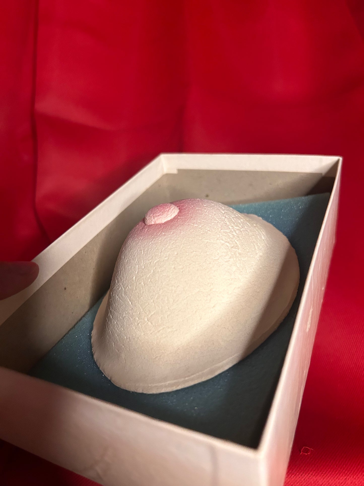 Bachelor Bar Sponge