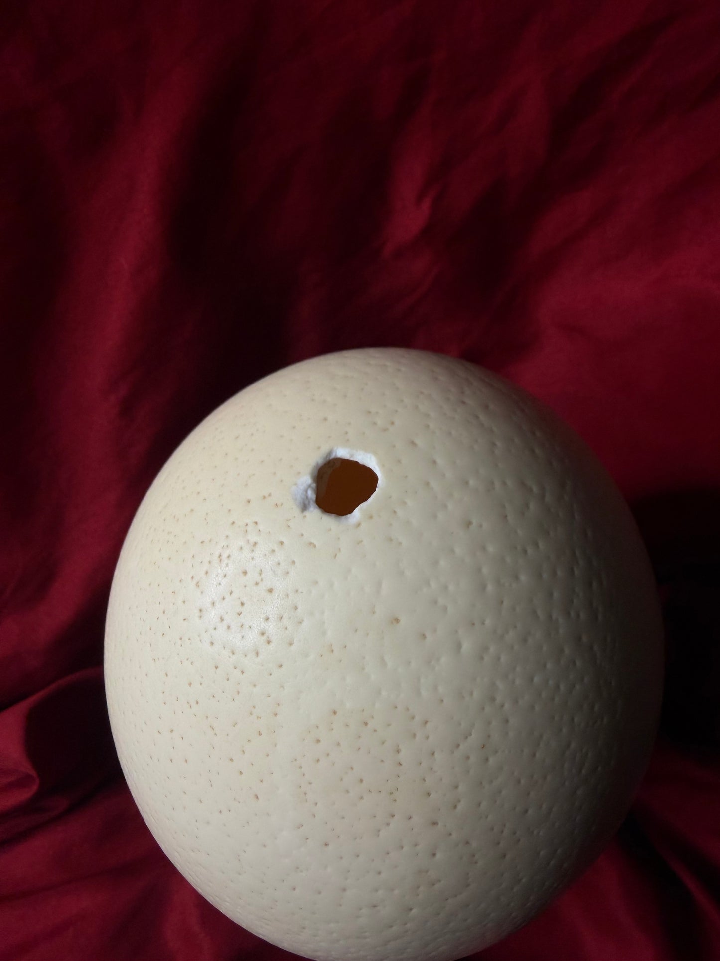 Ostrich Egg On Ornate Stand