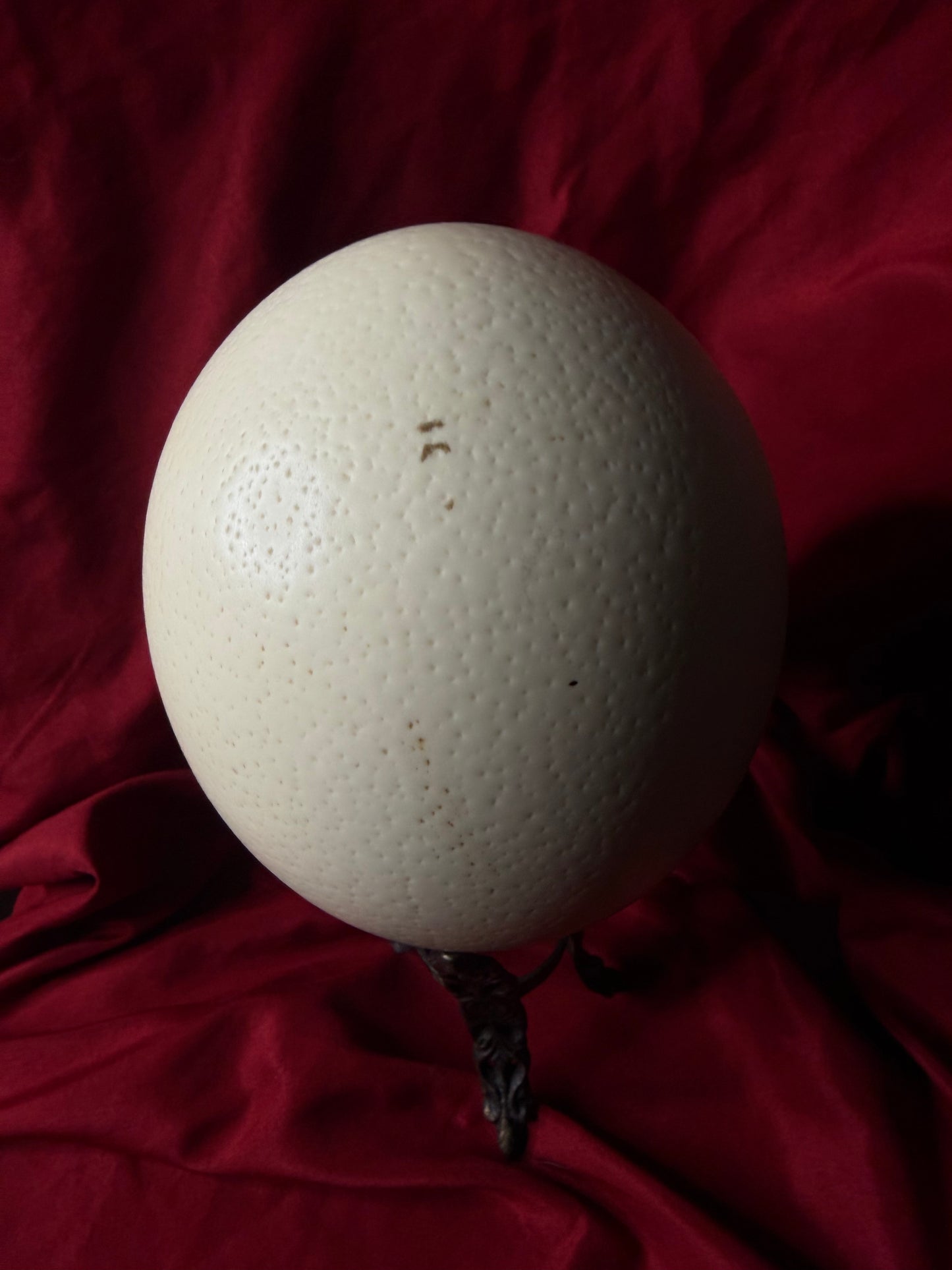 Ostrich Egg On Ornate Stand