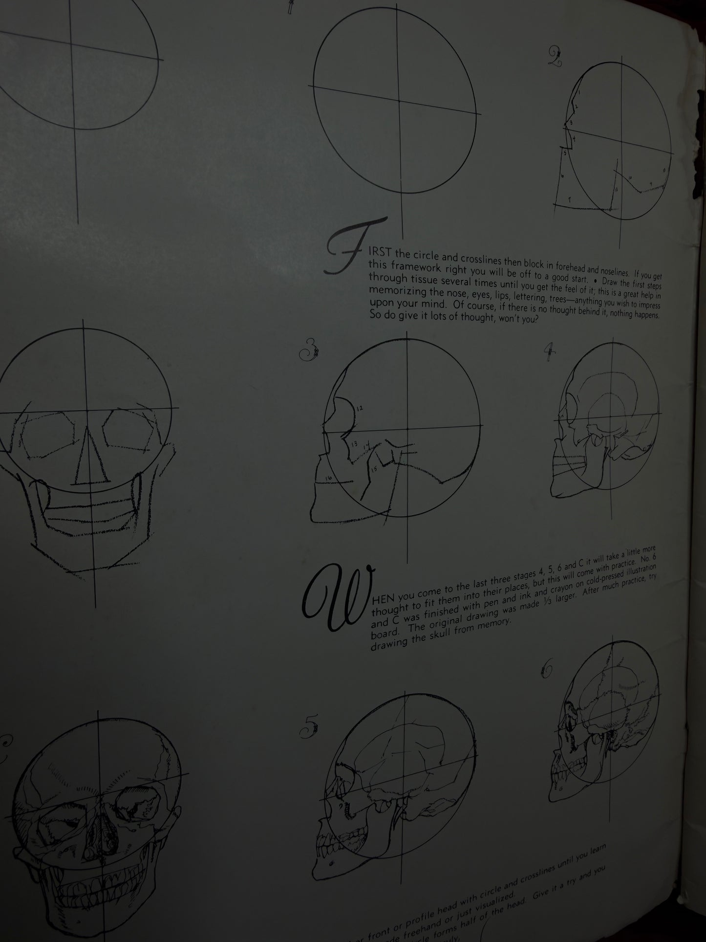Anatomy by Walter T Foster Paperback Drawing Book Large Size