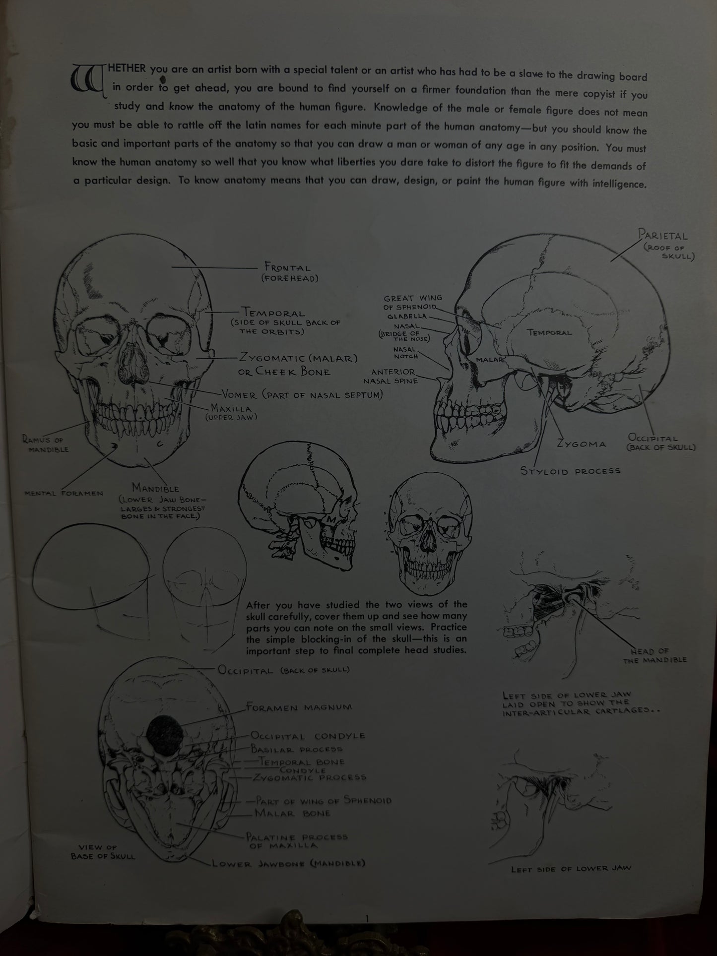 Anatomy by Walter T Foster Paperback Drawing Book Large Size