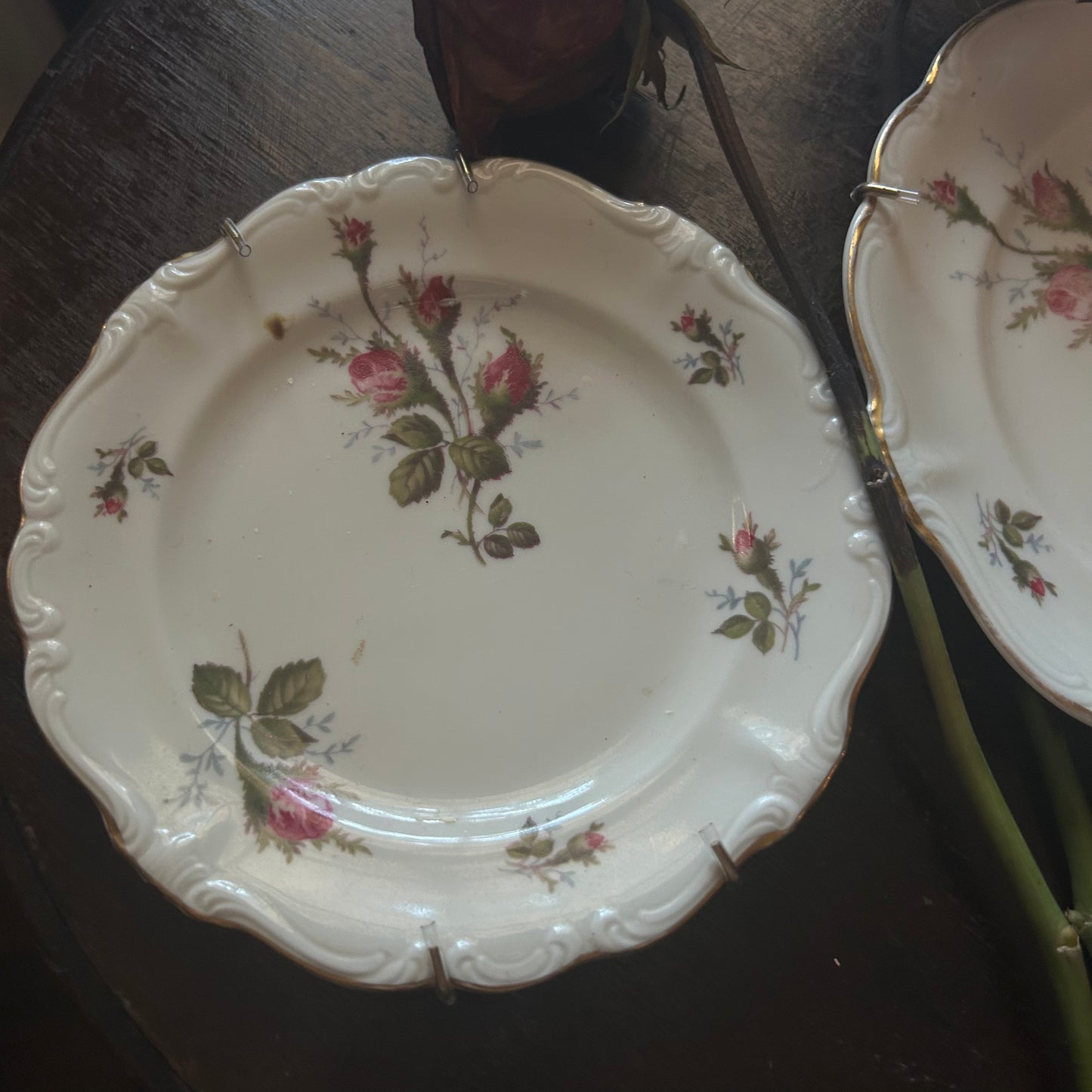 Ready to Hang Pair of Rosenthal "Moss Rose"